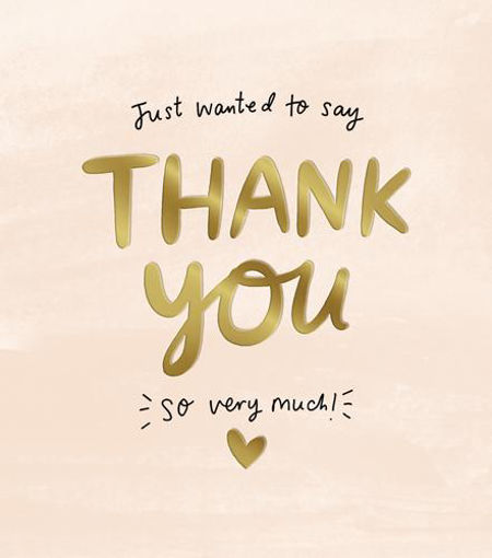 Picture of JUST WANTED TO SAY THANK YOU CARD